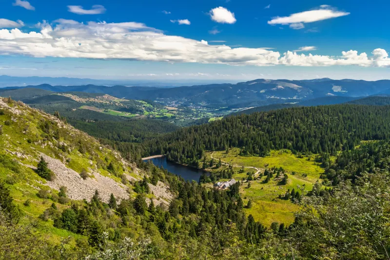 mountain landscape  overlooking view from the gazon du faing on the forlet lake in the vosges mountains in summer, vosges, france
