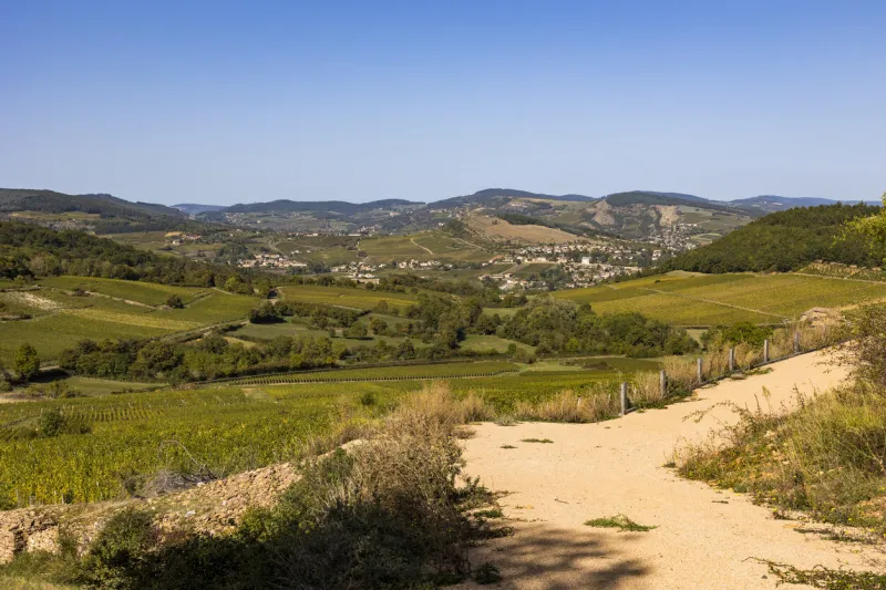 village of la roche-vineuse, surrounded by the vineyards of the famous pouilly-fuissé appellation, from vergisson