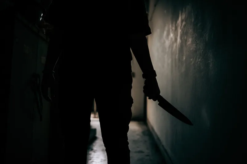 the shadow of a female murderer stood terrifyingly holding a knife and lit from behindscary horror or thriller movie mood or nightmare at night murder or homicide concept
