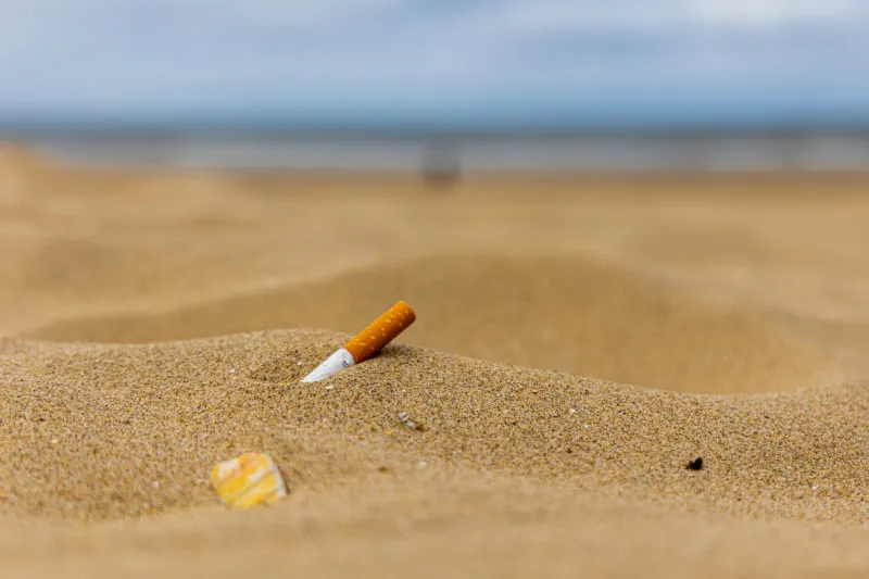 natural beach with cigarette butt litter