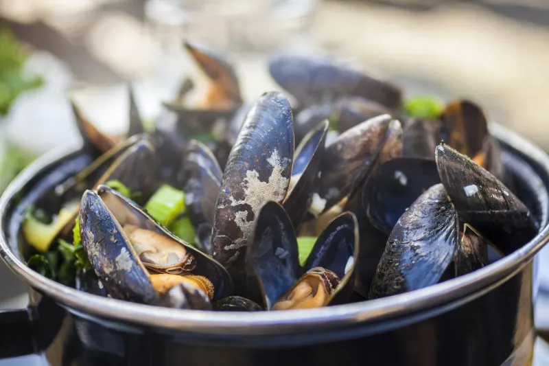 bowl of fresh mussels moules mariniere