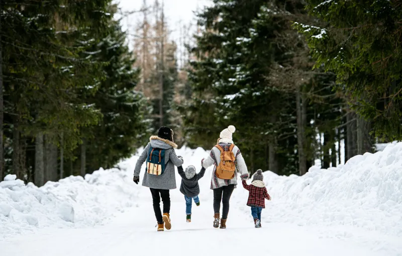 rear view of family with two small children holding hands in winter nature, walking in the snow