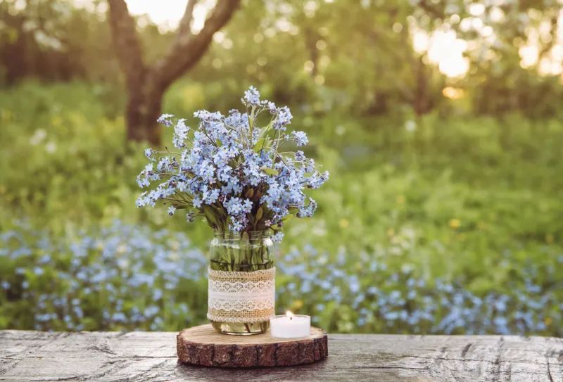 bouquet of wild flowers myosotis also known as forget me not s or scorpion grasses in lace burlap cloth decorated baby food jar inexpensive vintage party decorations concept cozy spring evening