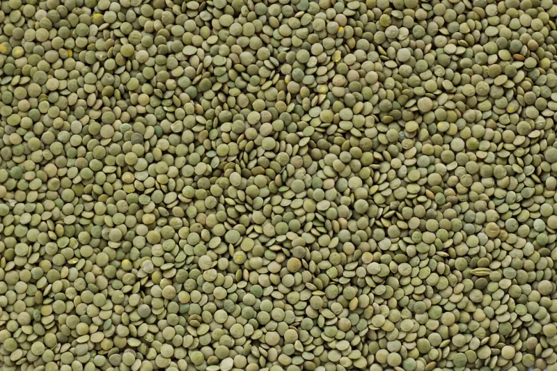 flat layout of traditional turkish domestic green lentil background
