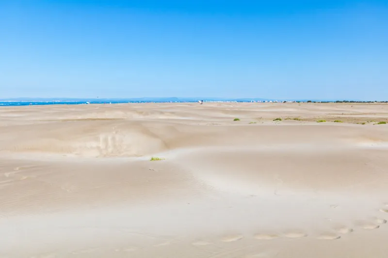 sand dune landscape at pointe de l'espiguette on the mediterranean coast (occitanie, france)