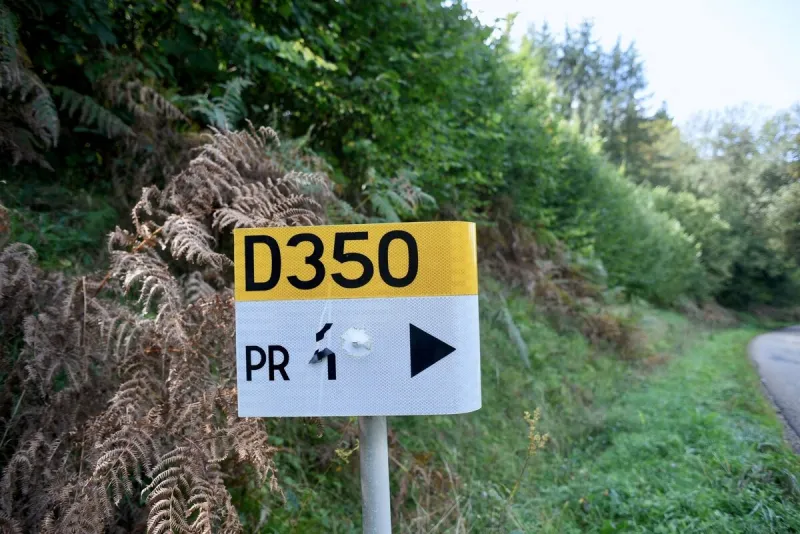 lina, 15 ans, disparue depuis une semaine