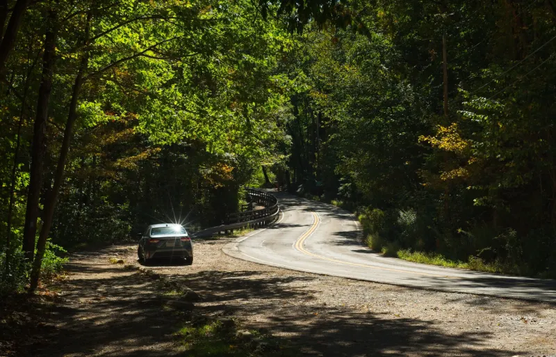 a lone car sits beside a curvy road winding through a sunlit woods in early autumn