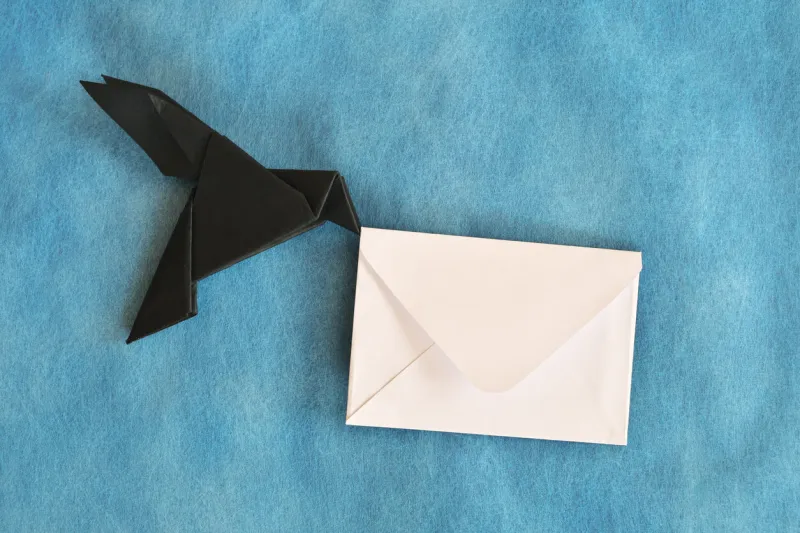 black raven paper origami carrying white letter envelope email, message, courier and letter delivery