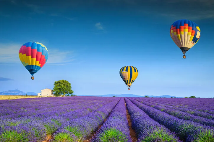 amazing flowery summer landscape flying colorful hot air balloons over the purple fragrant lavender fields, valensole, provence, france, europe travel and recreation concept