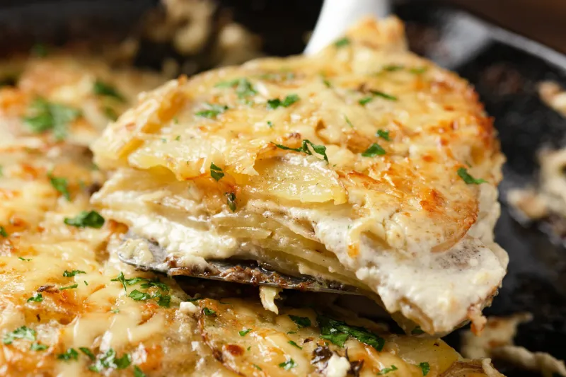 creamy gratin dauphinois potato with melted cheese