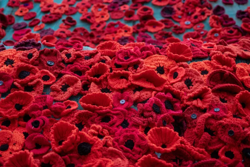 installation de coquelicots pour le jour du souvenir - ramsgate