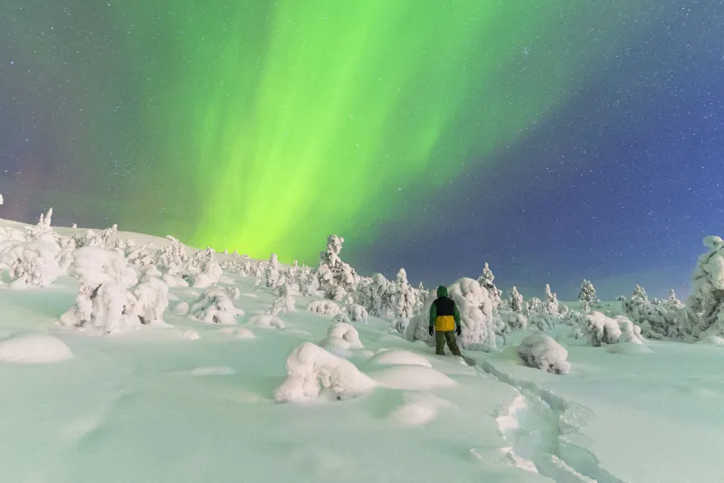 vue arrière d'un homme dans la forêt enneigée et gelée observant les aurores boréales colorant le ciel, parc national de pallas-yllastunturi, laponie finlandaise, finlande, scandinavie, europe