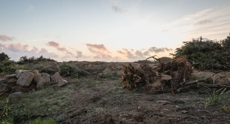 bretignolles sur mer, france - october 9, 2019  view of a nature transformed by the passage of buldozer in a zone of protest zad (acronym of zone to defend) against the construction of the port