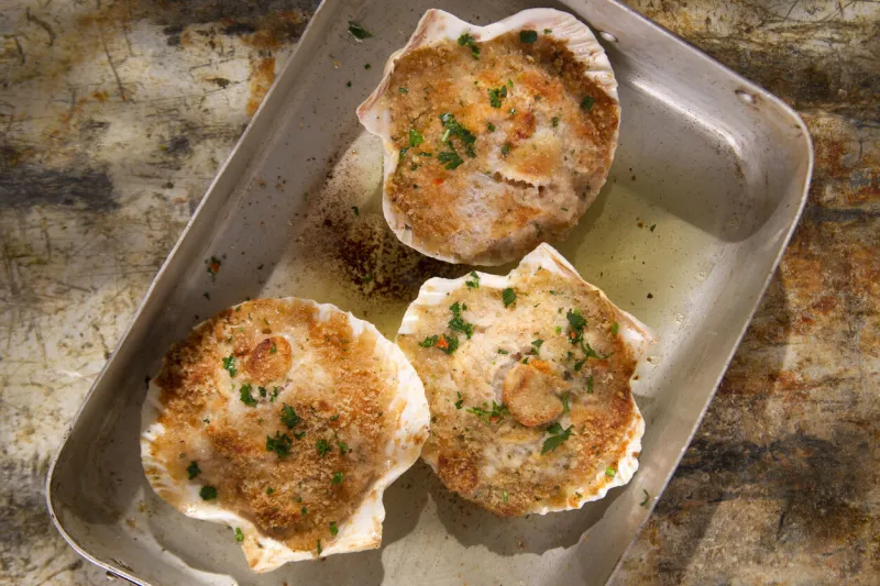 presentation of scallops au gratin baked with parsley