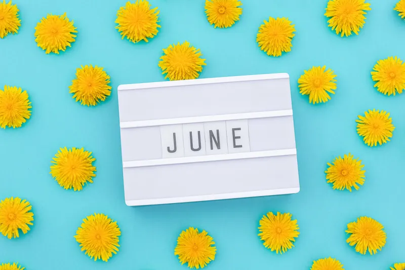 text june on light box and yellow dandelions on blue background concept hello summer top view flat lay