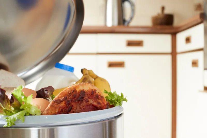 fresh food in garbage can to illustrate waste