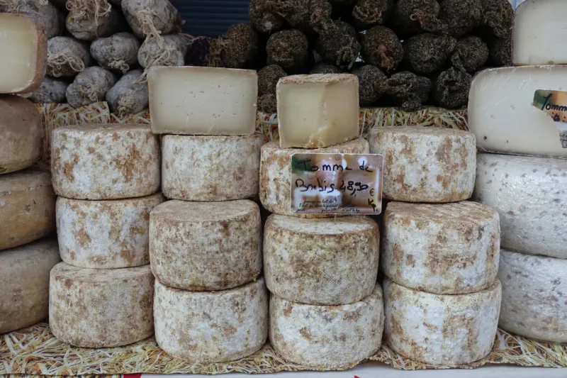 very special cheese from france called tomme de brebistomme de brebis is made from sheep milk