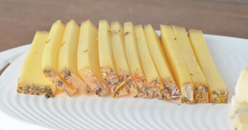 cheese platter with cheese tomme hand of woman
