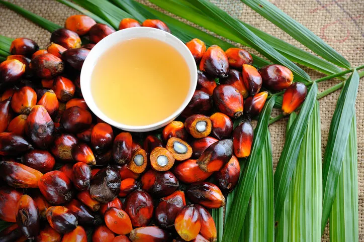 close up of fresh oil palm fruits with cooking oil, selective focus
