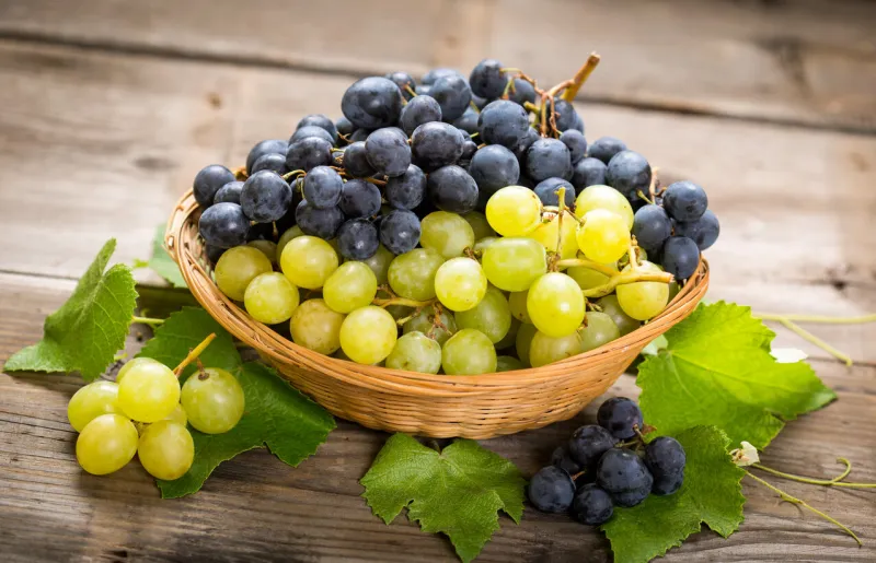 fresh grapes in the basket
