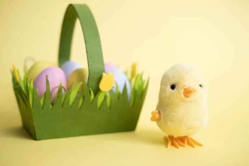 easter card a small yellow toy chicken, next to a green basket with colorful eggs, on a yellow background we are celebrating easter