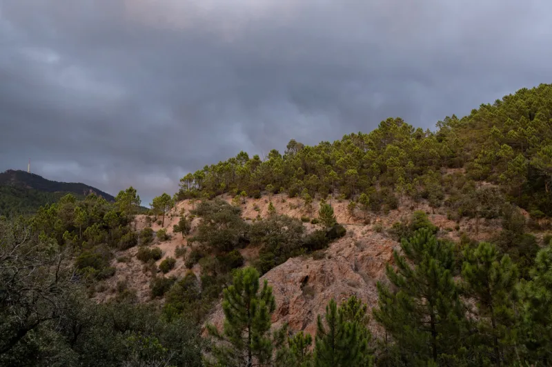 sunset after an intense thunderstorm in the estérel national park, southern france