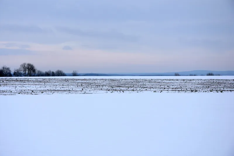 landscape horizontal photo fields under snow