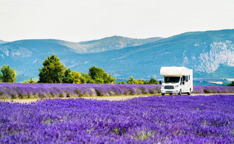 campervan moving through a lavender field in provence, france