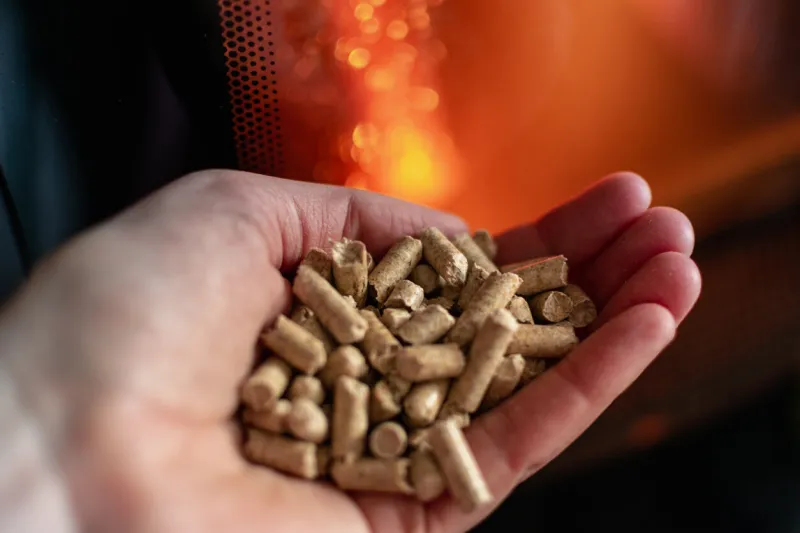 hand holding pellets in front of the glass of a stove with a beautiful flame