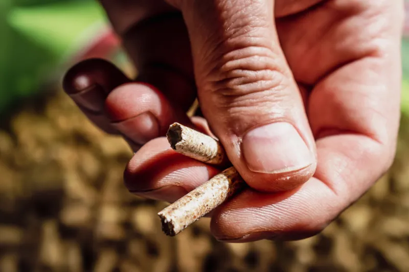 man holding pellet for stove