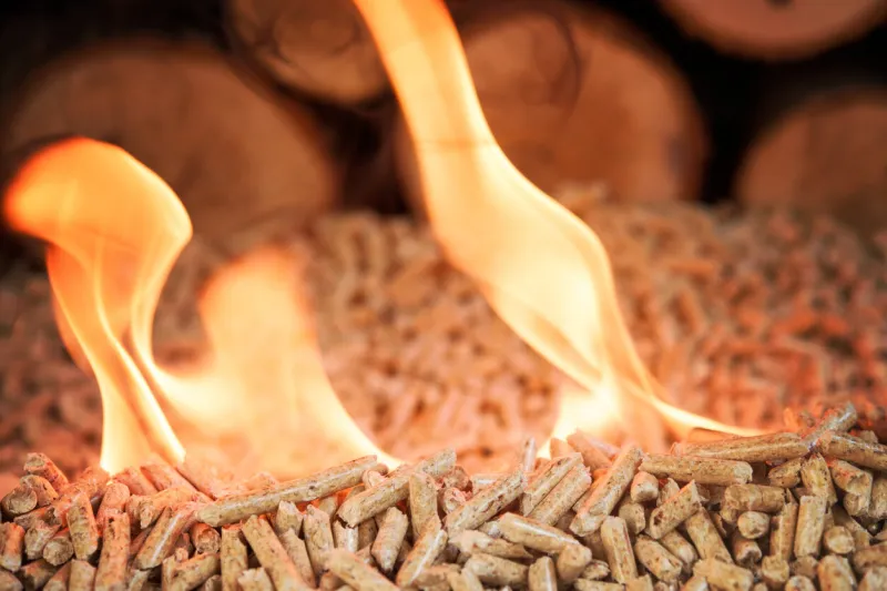 pile of coniferous pellets in flames - wooden biomass