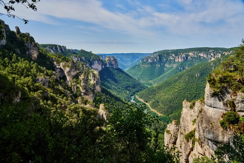 the deep forested valley of the gorges du tarn