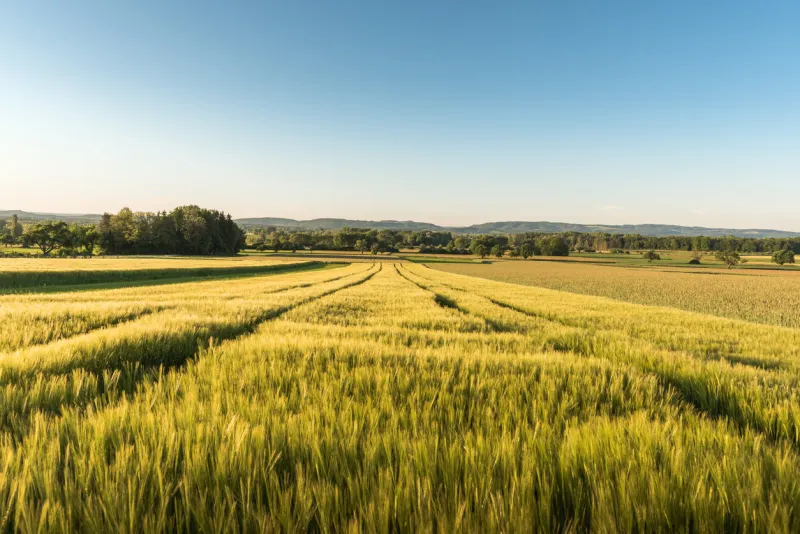 scenic view of agricultural field against clear, blue sky tranquil morning mood in hegau near singen, konstanz district, baden-wuerttemberg, germany