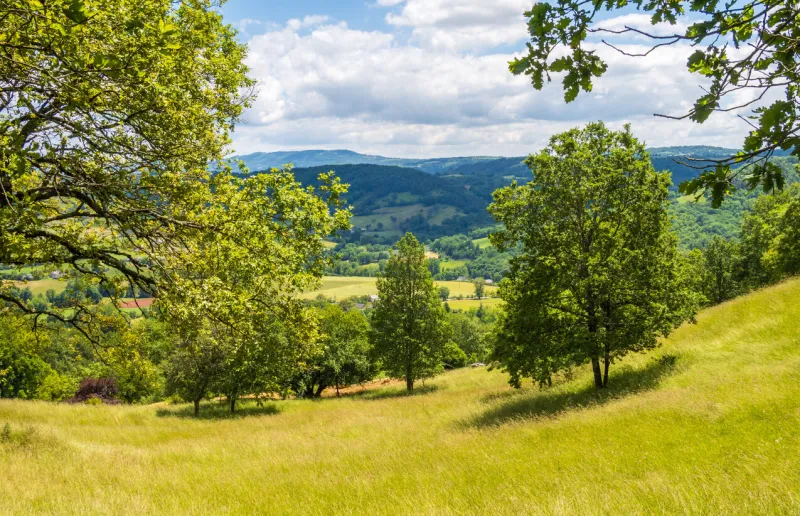 green nature and hills photographed around estaing in aveyron, france