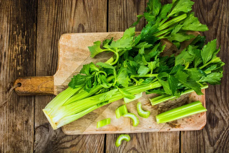 bunch of fresh celery stalk with leaves studio photo