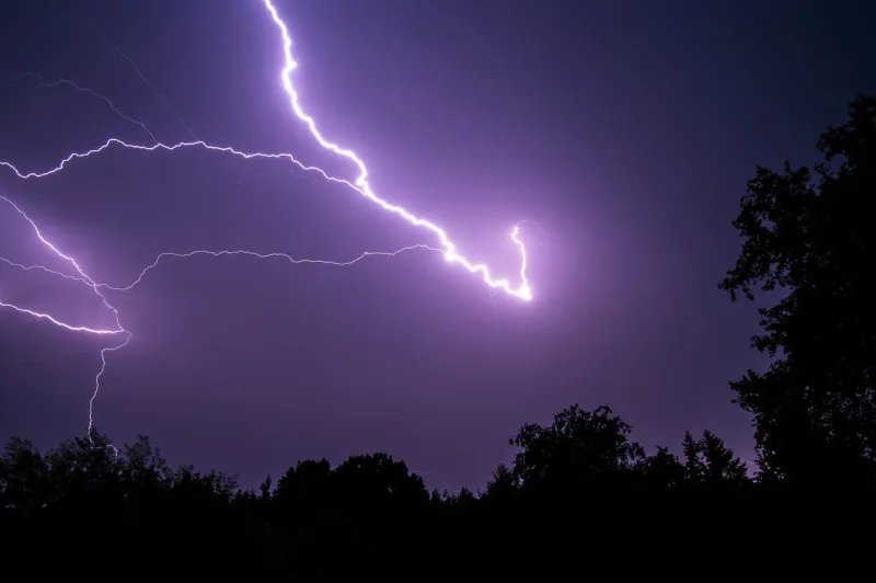 bolts of lightning behind silhouettes of trees at night