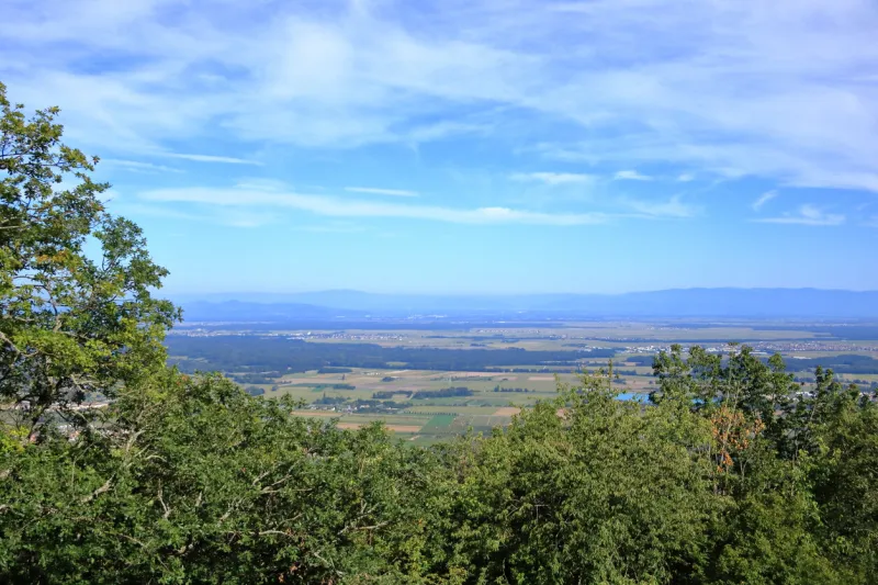 an aerial view of alsace fruit valley near colmar in france