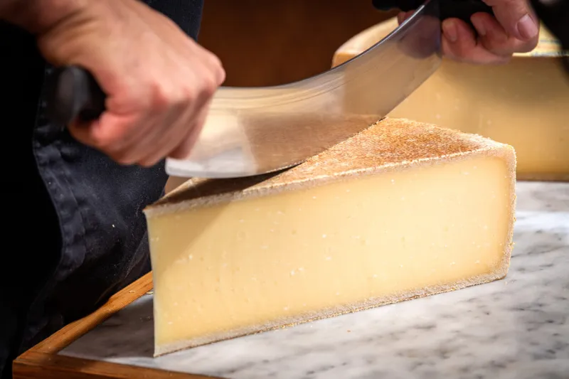 a man cuts a portion of the gruyère with a wire, the famous swiss cheese in a cellar on a marbble background