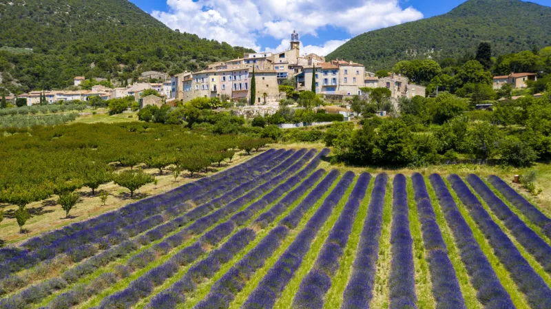 provence in france, lavender field and village of grigan