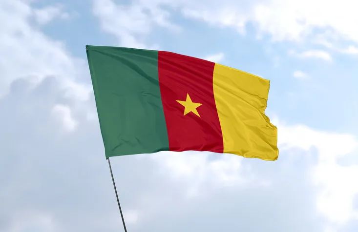 flag of cameroon in front of the blue sky