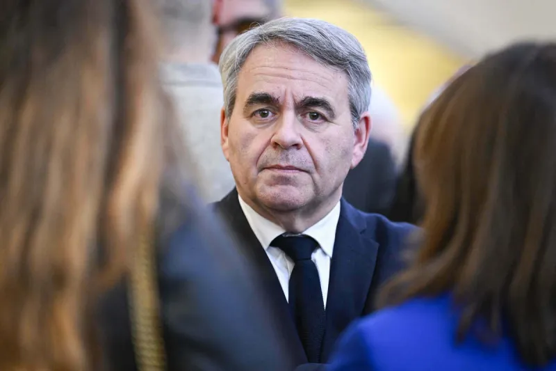 photocall et arrivées ccaf - paris