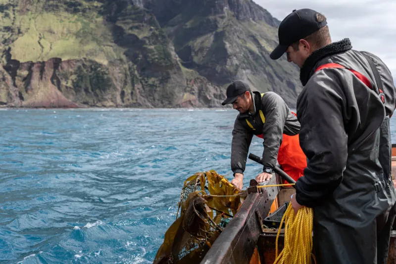 two fishermen working collecting lobster fishing nets on a boat