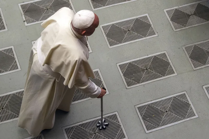 pope francis audiences - vatican