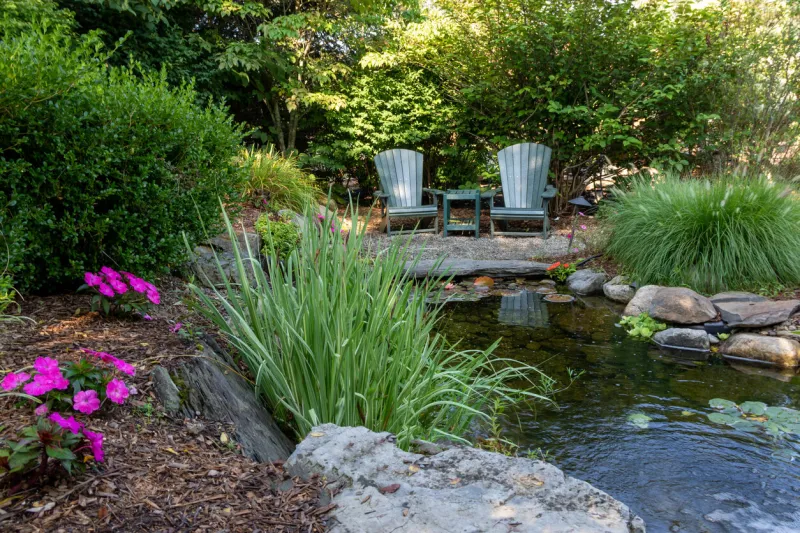 landscape architecture with pink flowers and ornamental grasses for summer garden with water feature