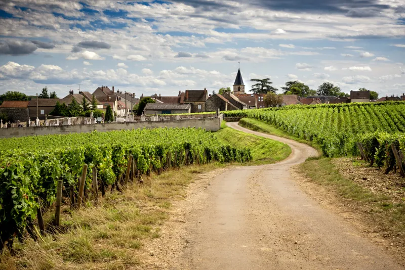 burgundy, a panoramic road that crosses the wine region and makes us know the major producers and their vineyard france