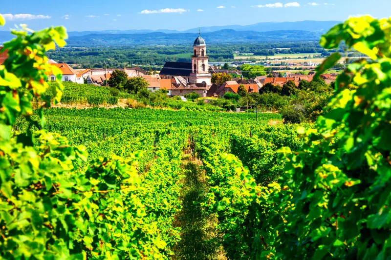 alsace - popular tourist destination in france, famous for beautiful villages and wine