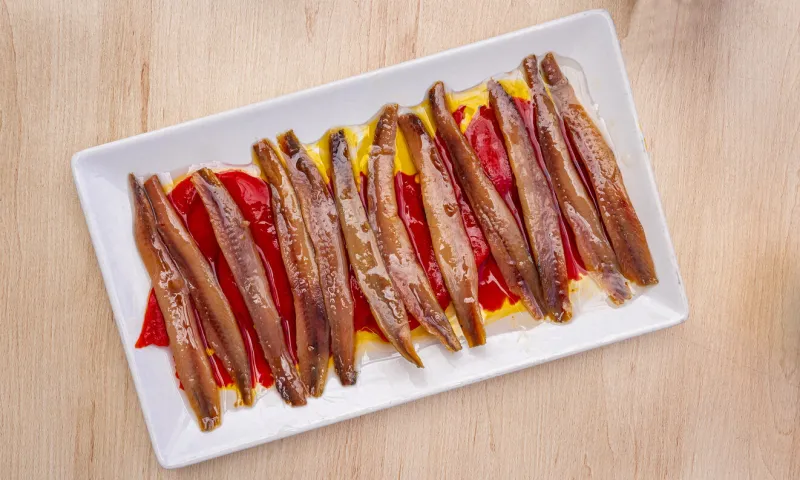 anchovies in olive oil, spanish delicacy, spanish gastronomy, cantabria, spain, europe