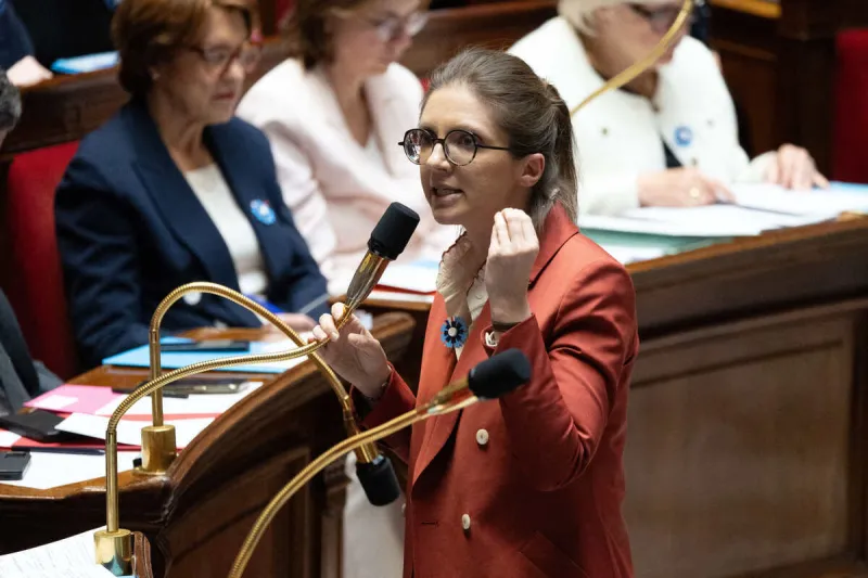 questions to the government at the national assembly - paris rl