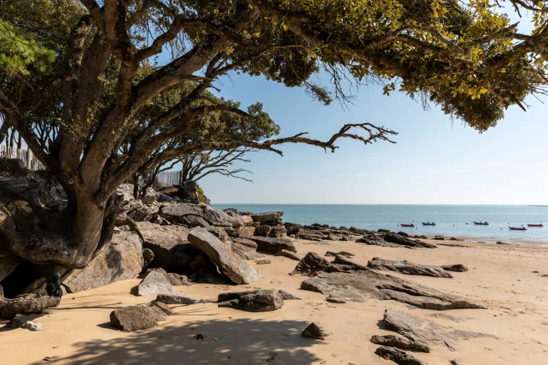 L'ïle de Noirmoutier, en Vendée