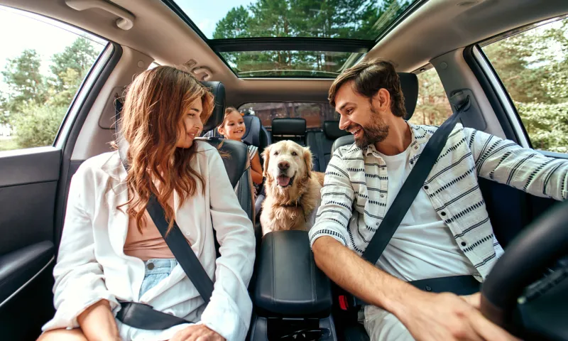 Famille en voiture avec chien